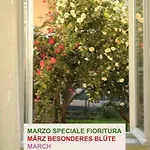 Casa Alberello 度假居 *