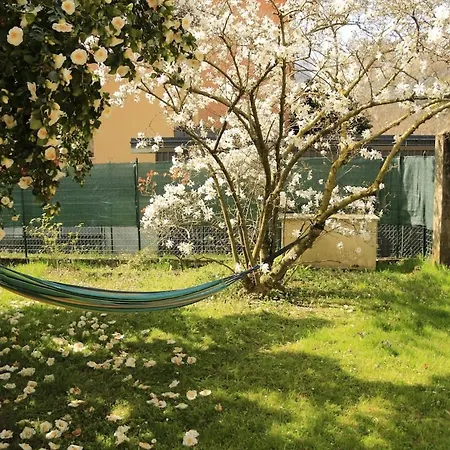 Casa Alberello 펜션 오메그나