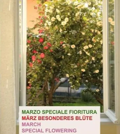 Casa Alberello Casa vacanze *