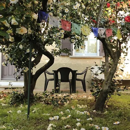 Casa Alberello