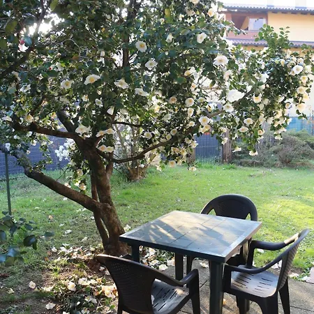 Casa Alberello *