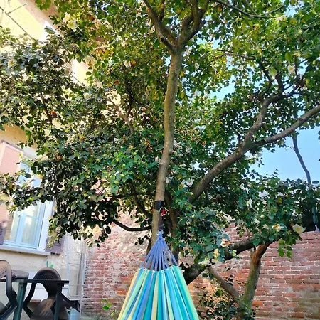 Casa Alberello