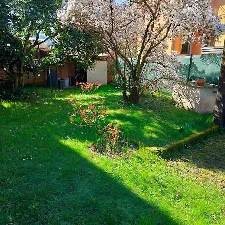 Casa Alberello *