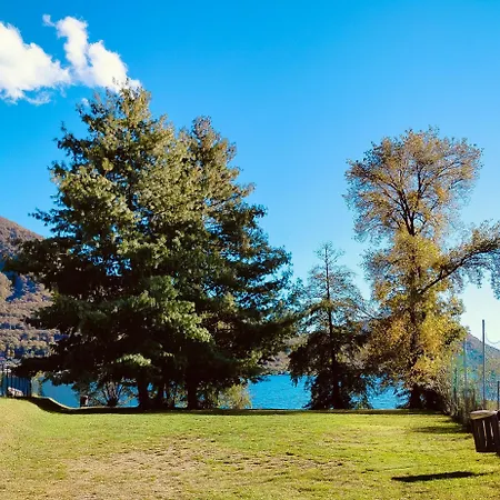 펜션 Casa Alberello 오메그나