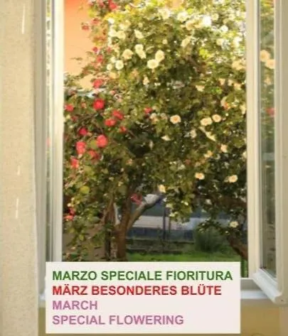 Casa Alberello Holiday home *