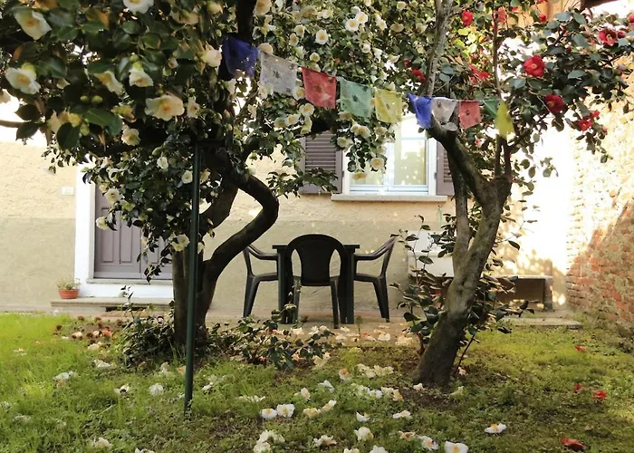 Casa Alberello